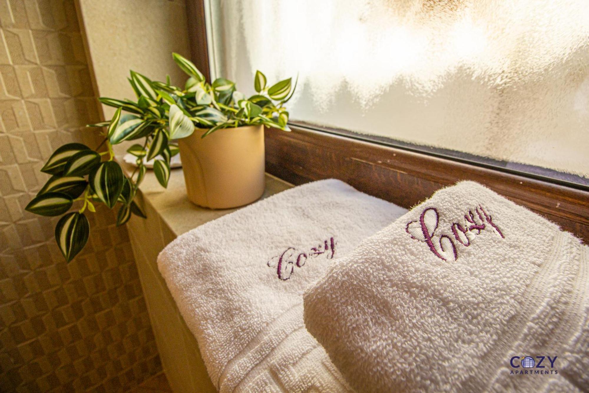 Cozy Brand New Boutique Aparthotel Μπρασόβ Εξωτερικό φωτογραφία